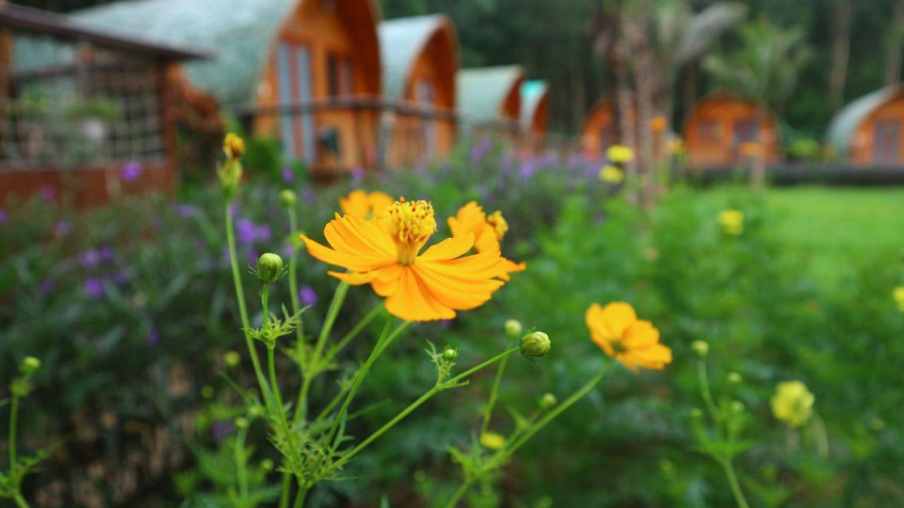 Chay Lap Farmstay Bo Trach Exterior foto